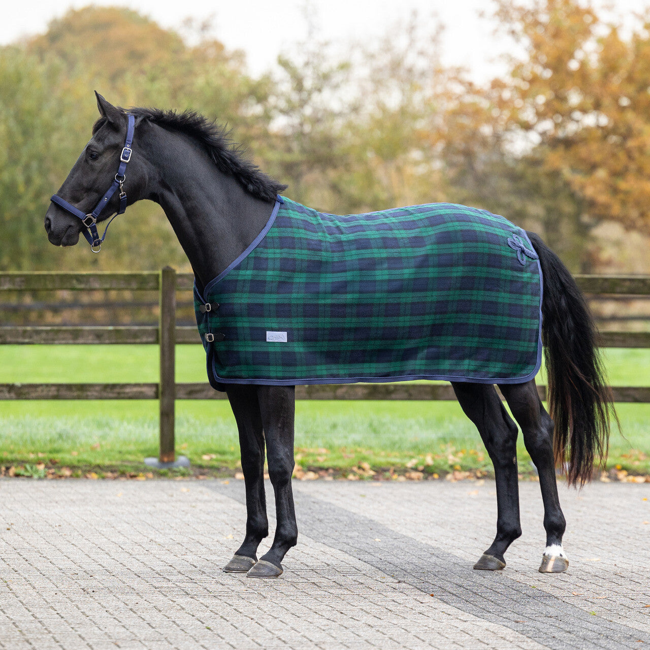 QHP Wool Rug Check