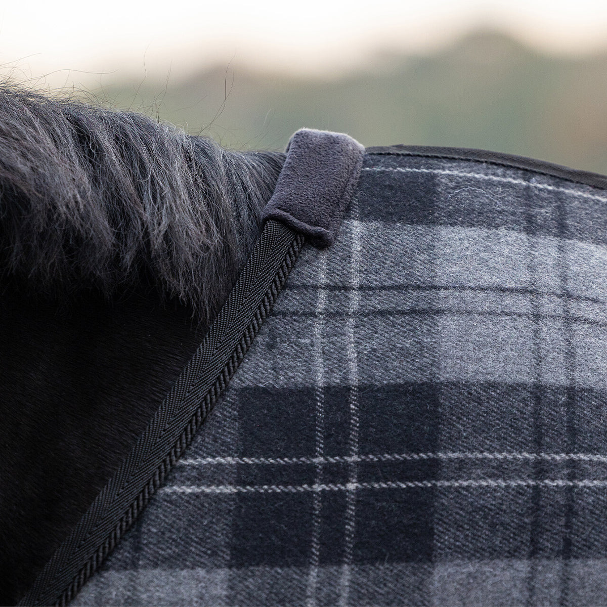 QHP Wool Rug Check