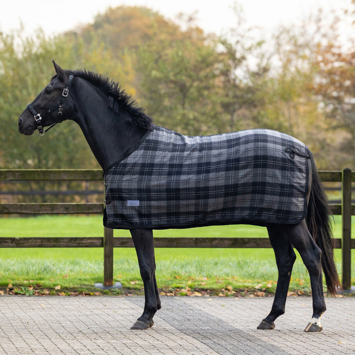 QHP Wool Rug Check