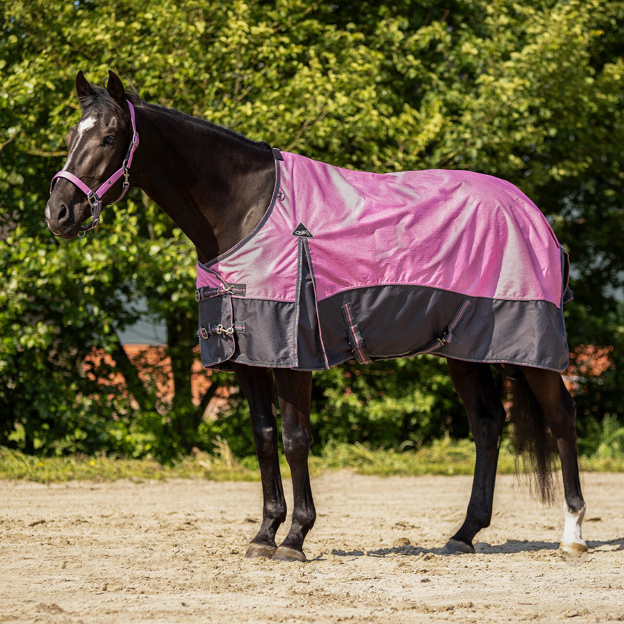 QHP Turnout Rug Collection Fleece 0g.