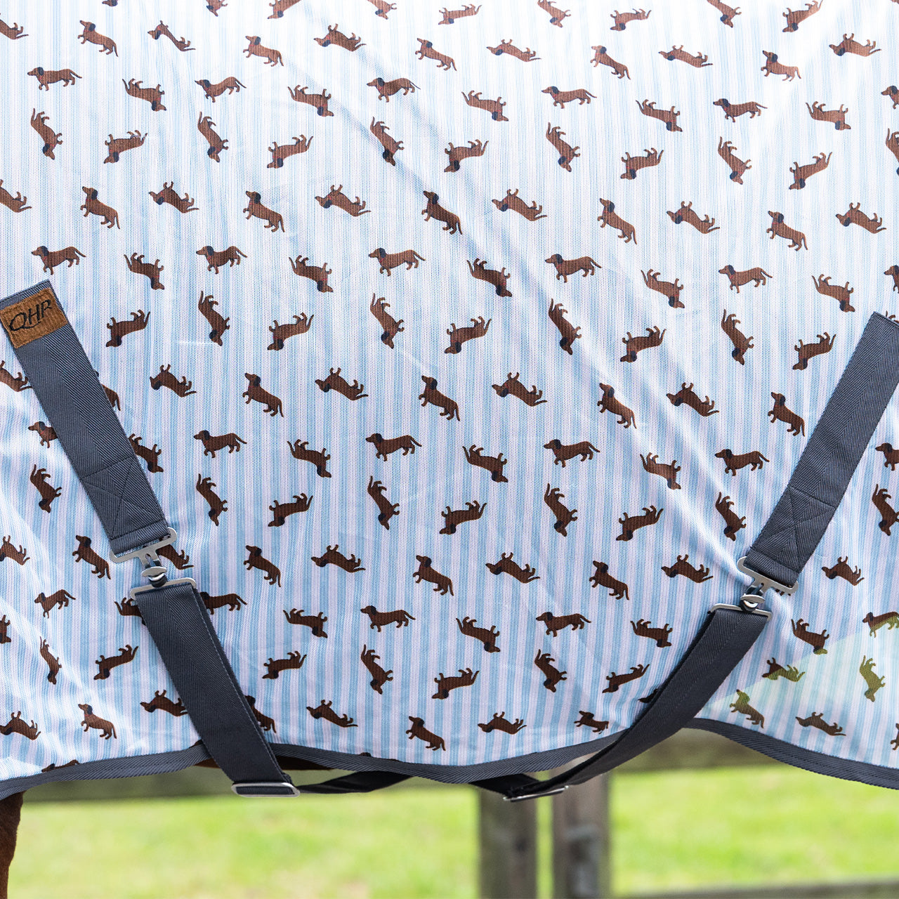 QHP Stable Buddy Dachshund Fly Sheet