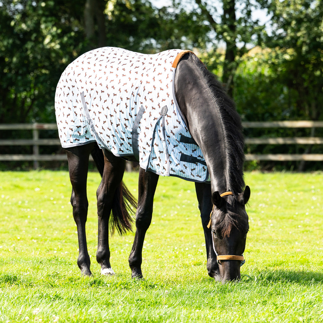 QHP Stable Buddy Dachshund Fly Sheet
