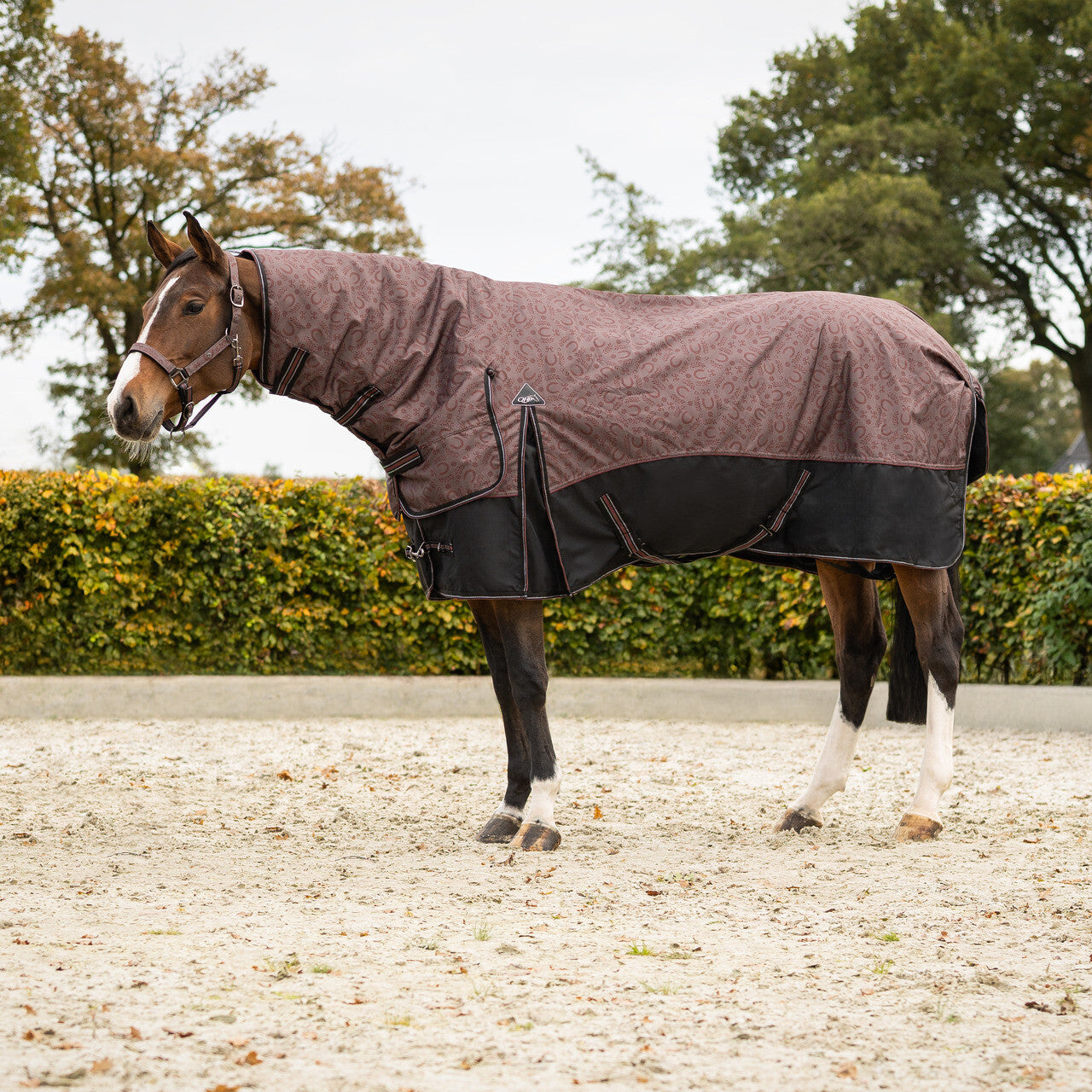 QHP Turnout Rug Collection With Neck 250 g.