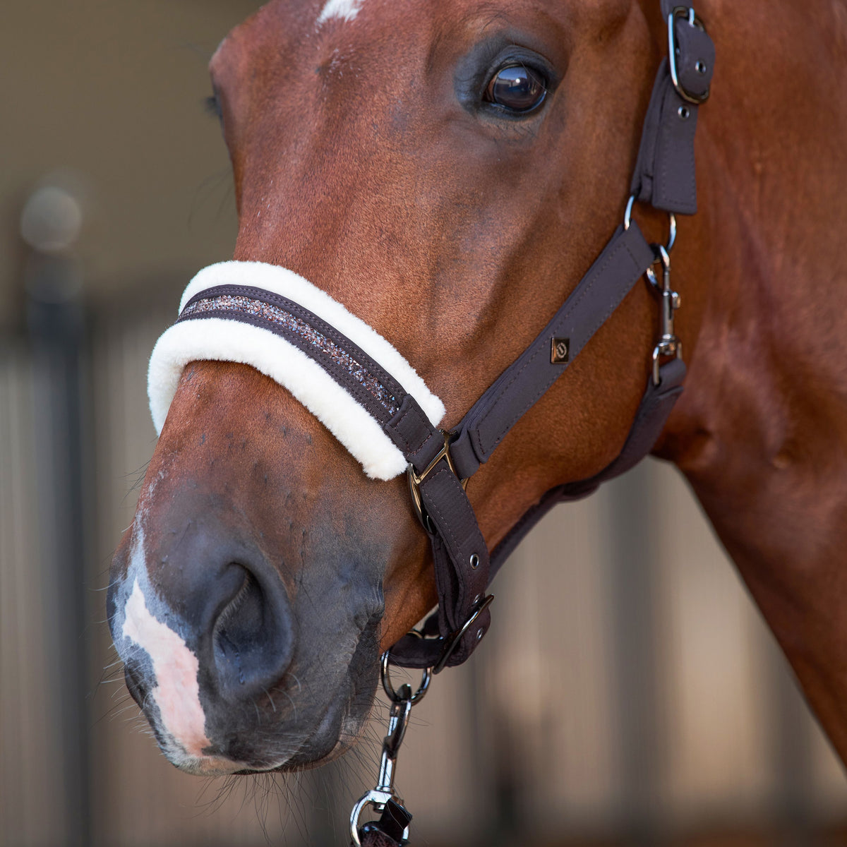 Imperial Riding IRHJewel Headcollar