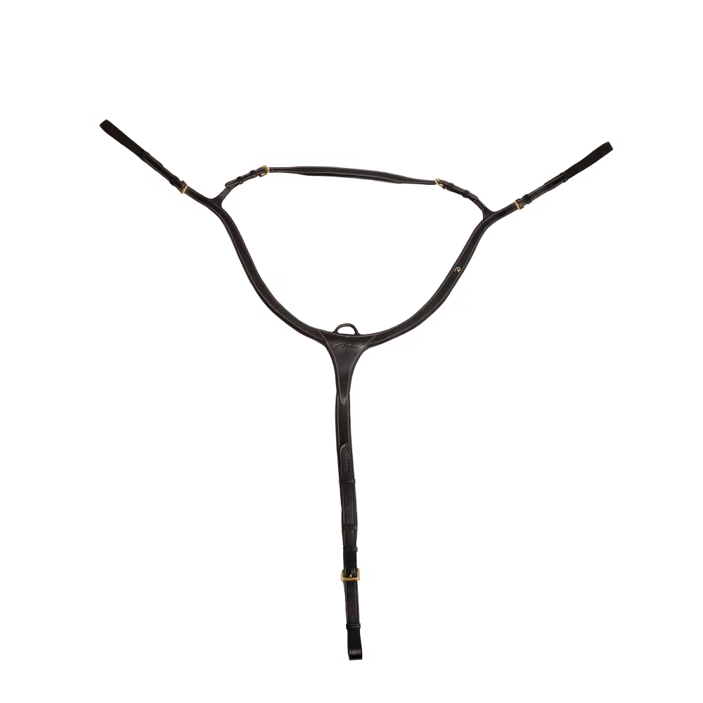 Dyon Longbridge Breastplate