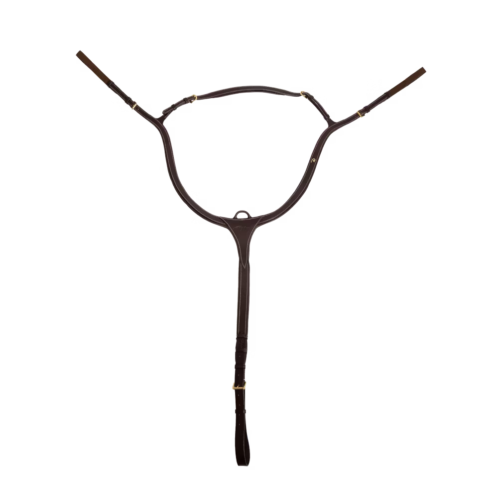 Dyon Longbridge Breastplate