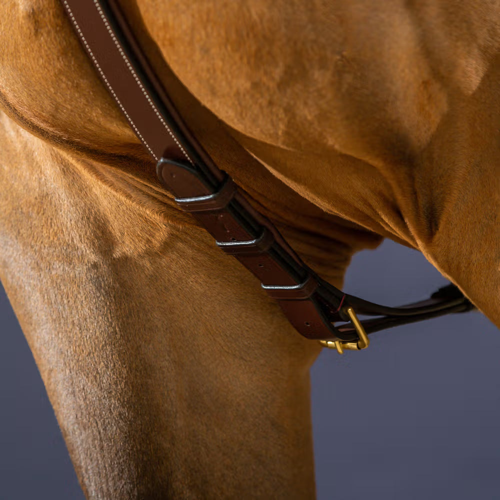 Dyon Longbridge Breastplate
