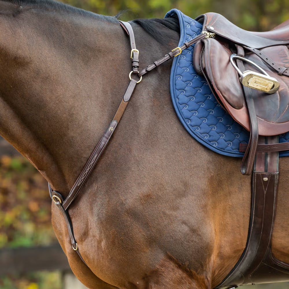 Dyon Bridge Breastplate