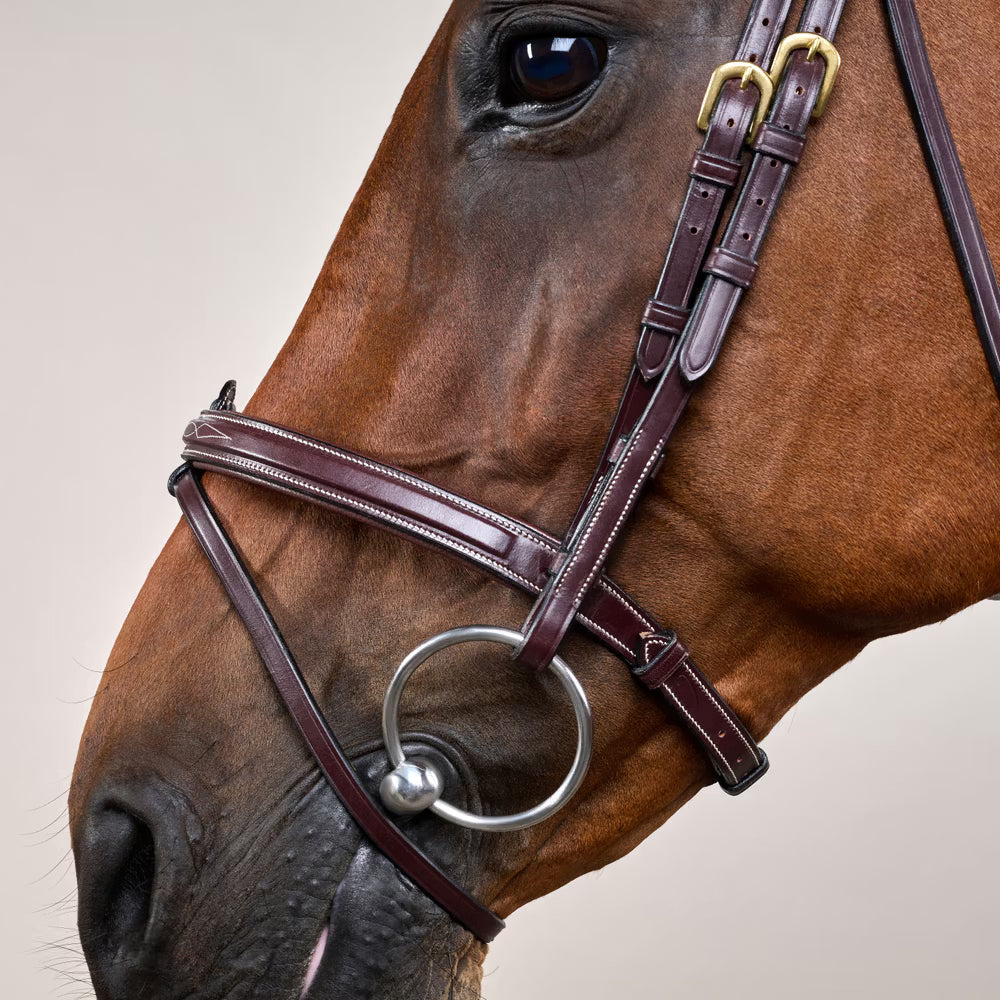 Dyon Flash Noseband Bridle