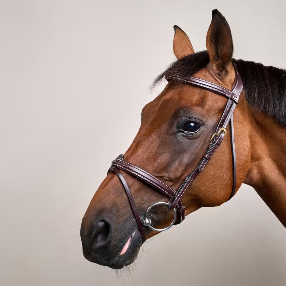 Dyon Flash Noseband Bridle
