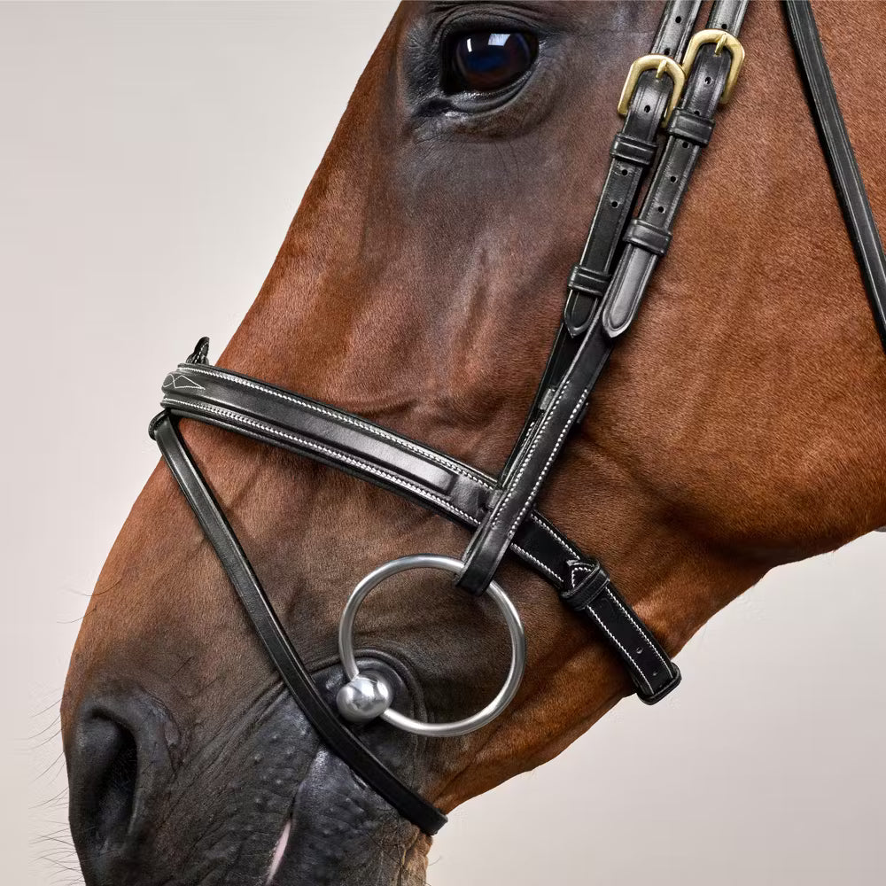 Dyon Flash Noseband Bridle