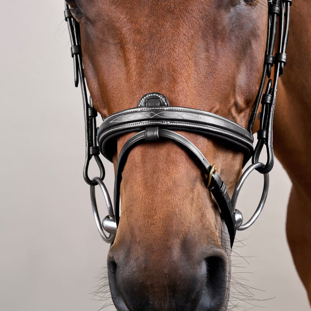 Dyon Flash Noseband Bridle