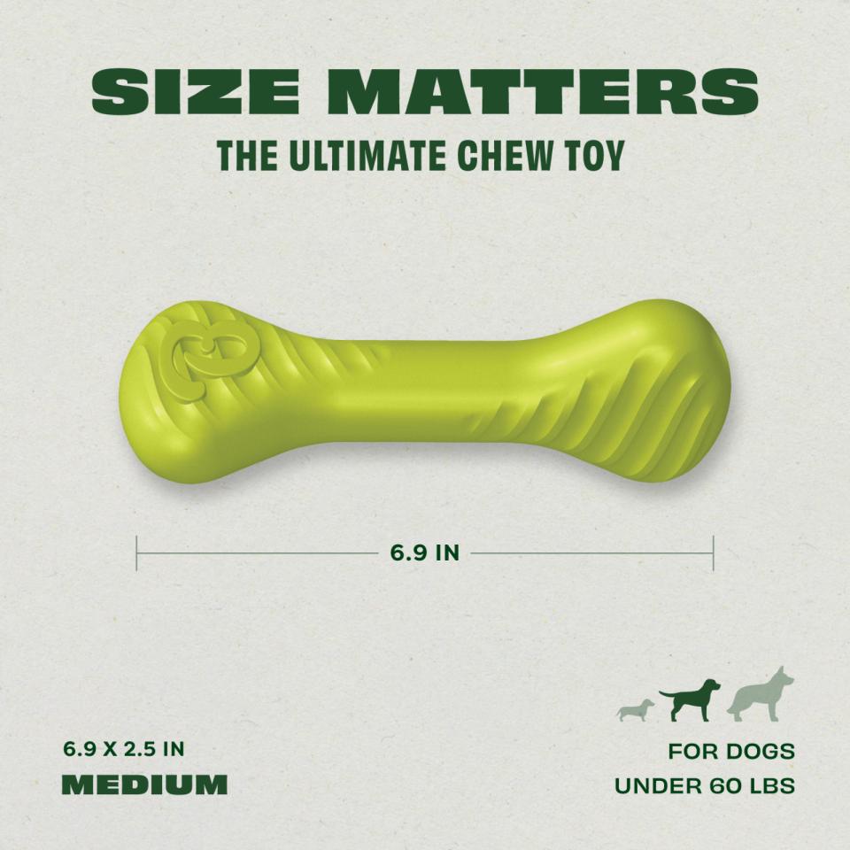 Benebone Bounce Bone