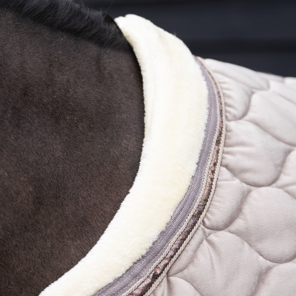 Imperial Riding IRHBandit Show Blanket