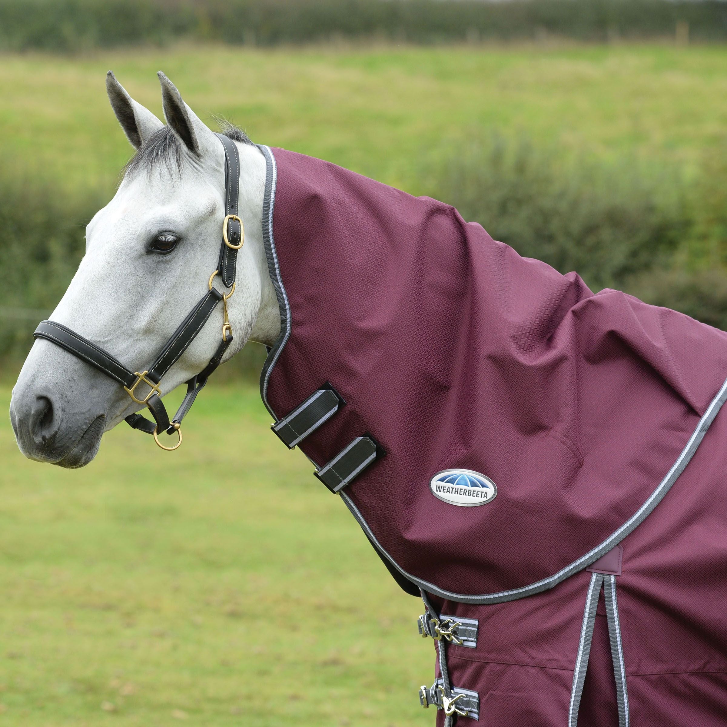 Weatherbeeta Comfitec Plus Dynamic II Neck Medium