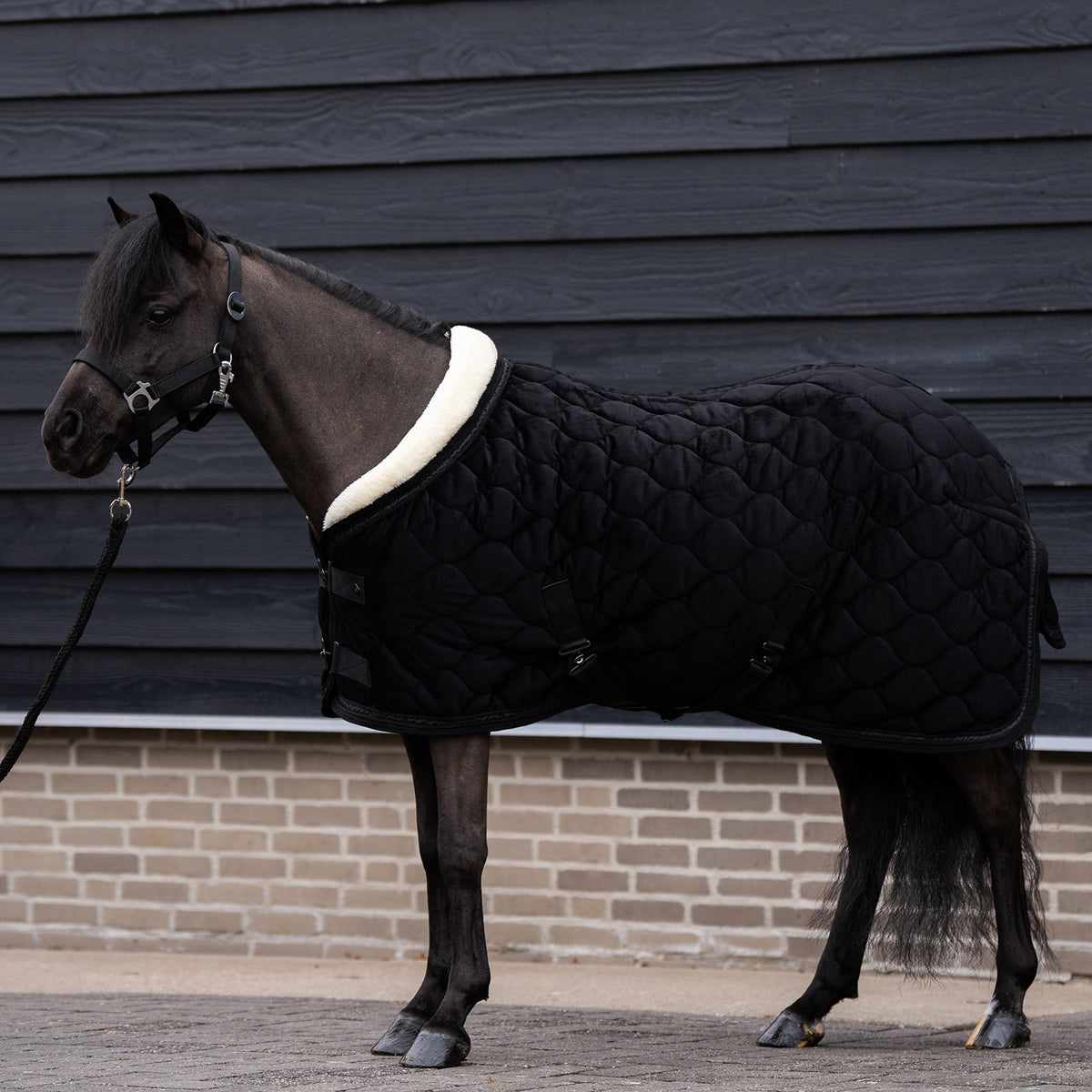 Imperial Riding IRHBandit Show Blanket