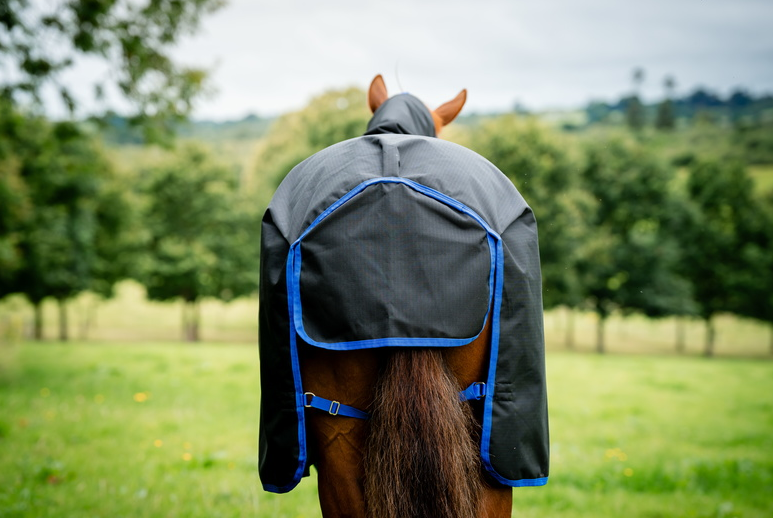 Horseware Amigo Ripstop 900D Plus Turnout 100g