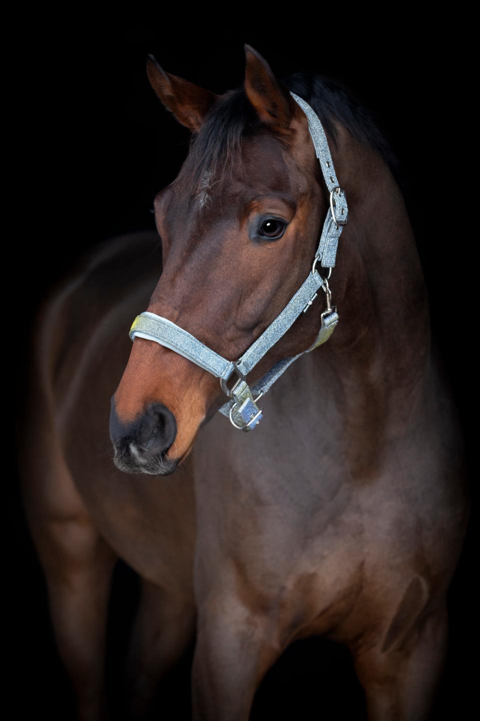 Horse Guard Iowa farveskiftende glimmer grime