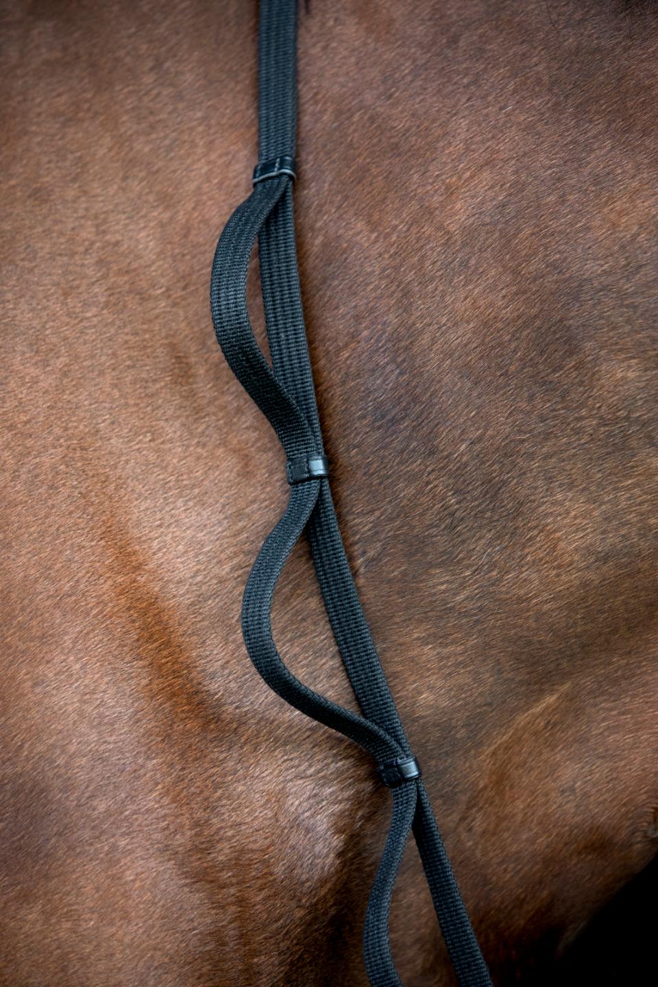 HorseGuard Loop Tøjler