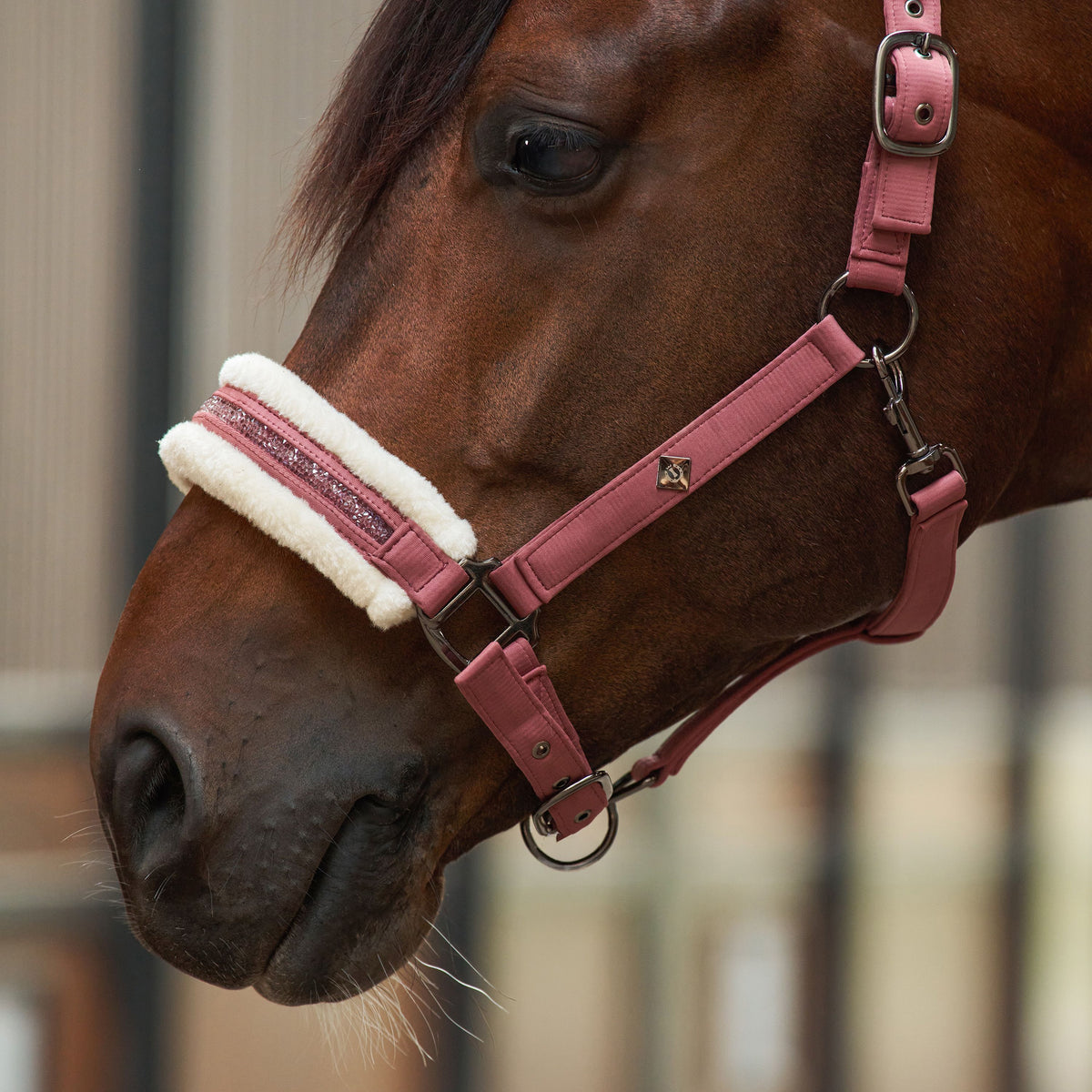 Imperial Riding IRHJewel Headcollar