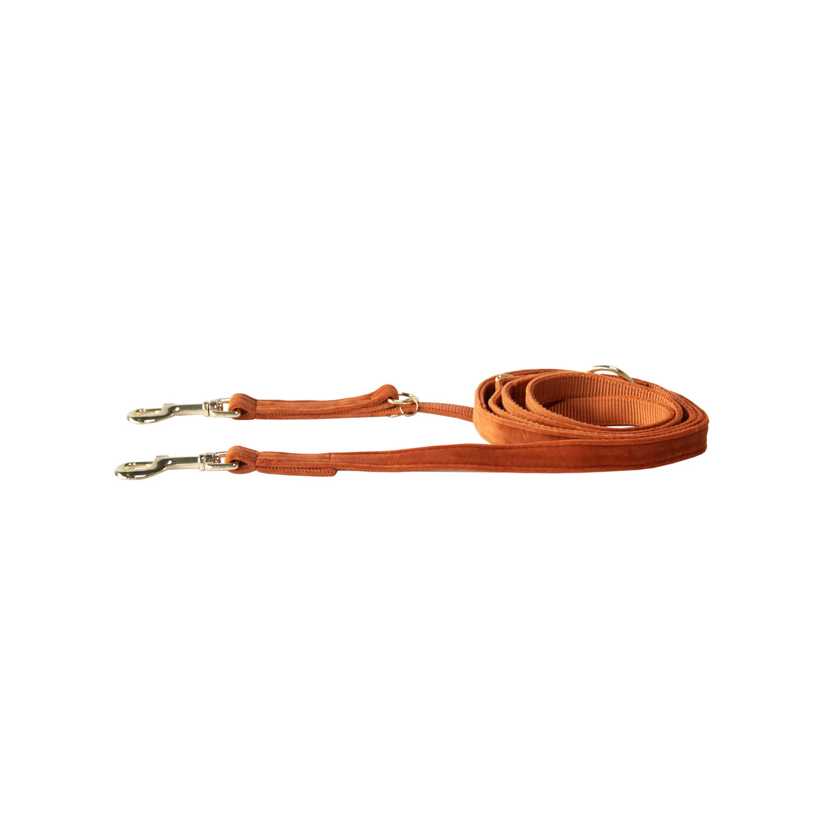 Kentucky Dog Lead Velvet Small