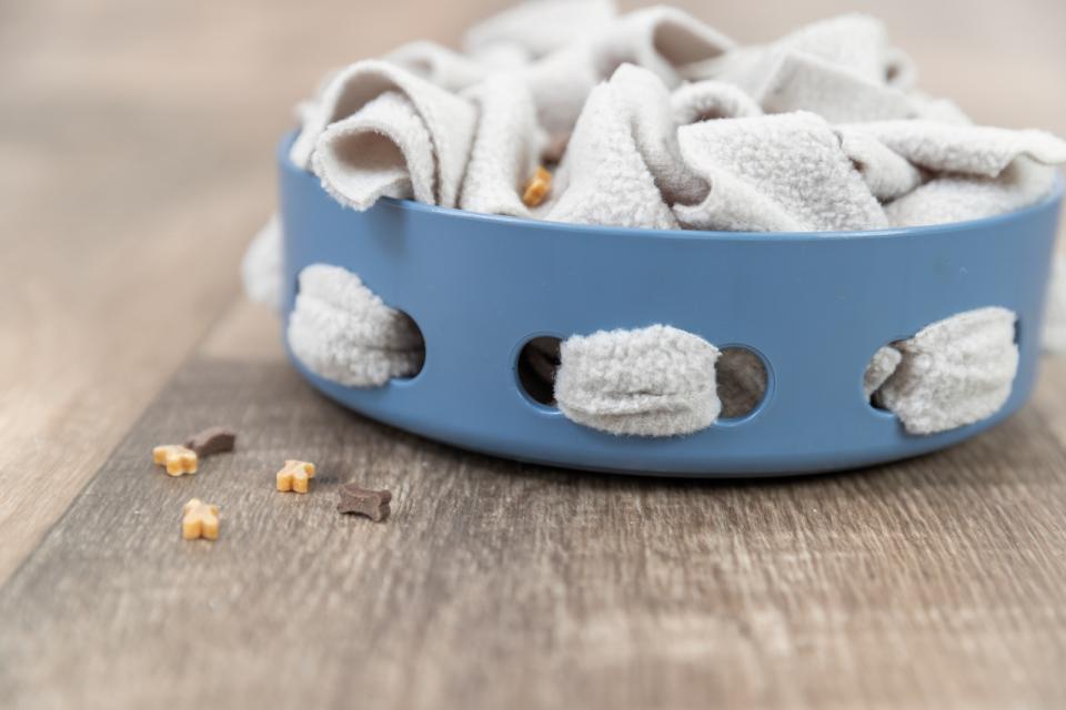 Trixie Dog Activity Hide'n'Sniff Bowl