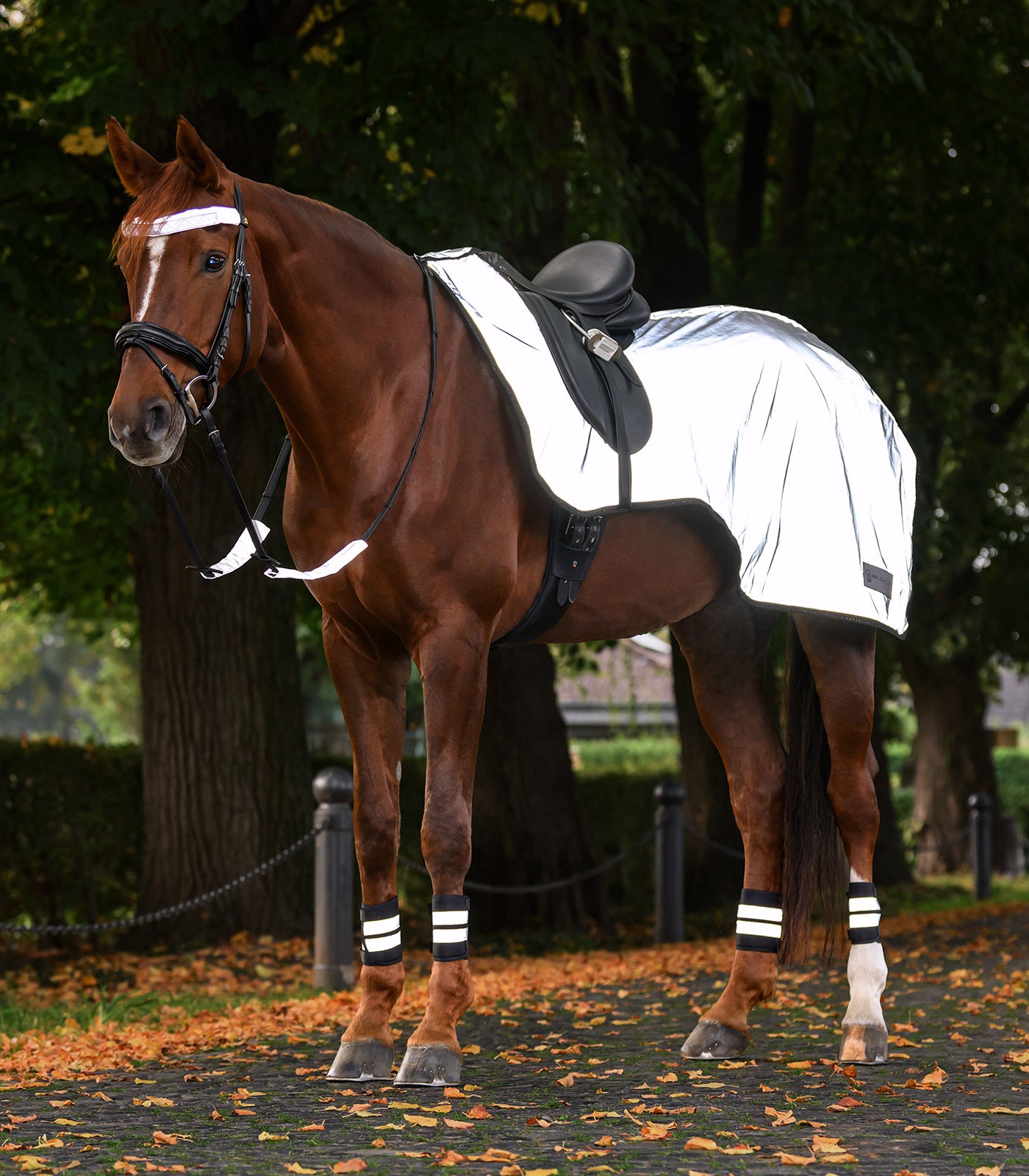 Waldhausen Reflex exercise sheet