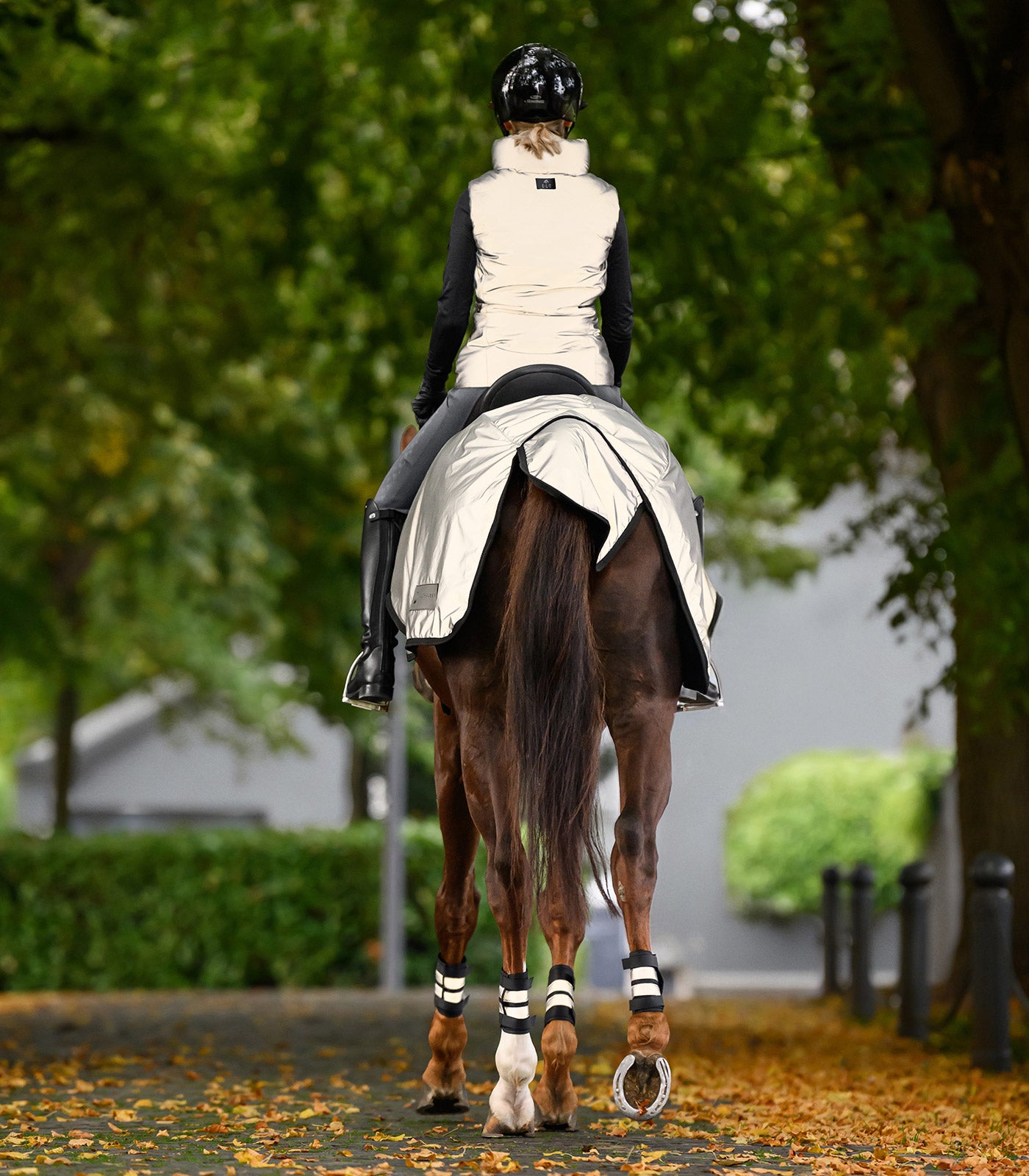 Waldhausen Reflex exercise sheet