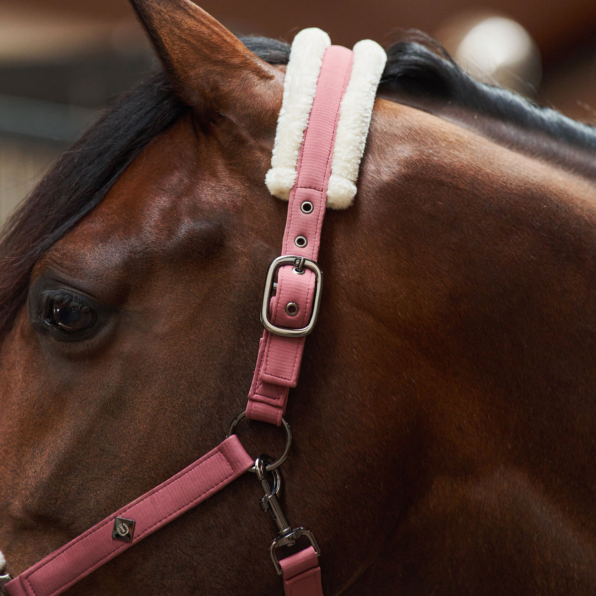 Imperial Riding IRHJewel Headcollar