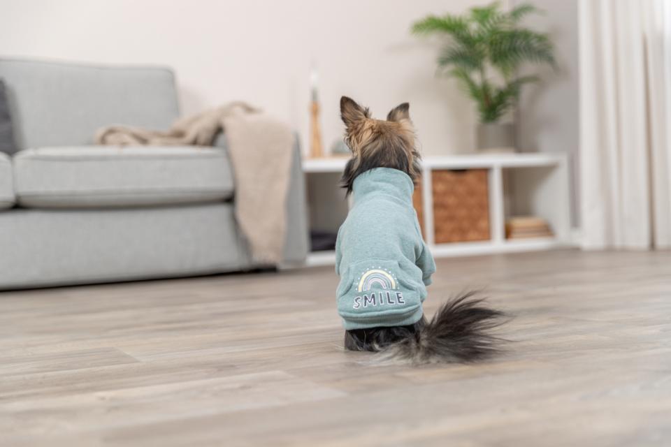 Trixie Littleton Sweatshirt