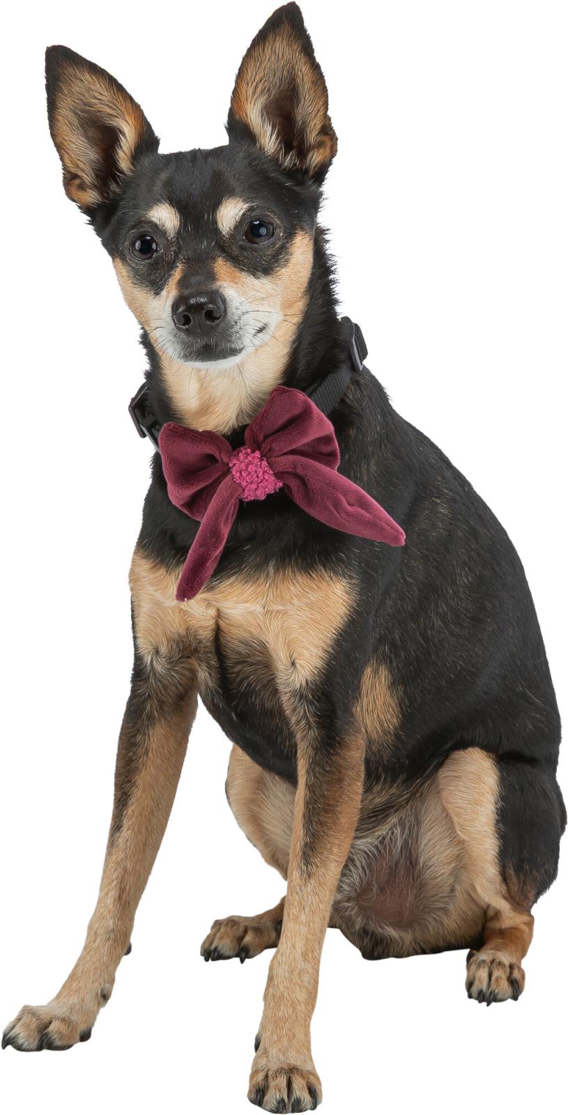 Trixie Xmas Julesløjfe Til Hundehalsbånd