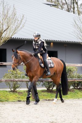 Cavallo Cavallynix Gamacher