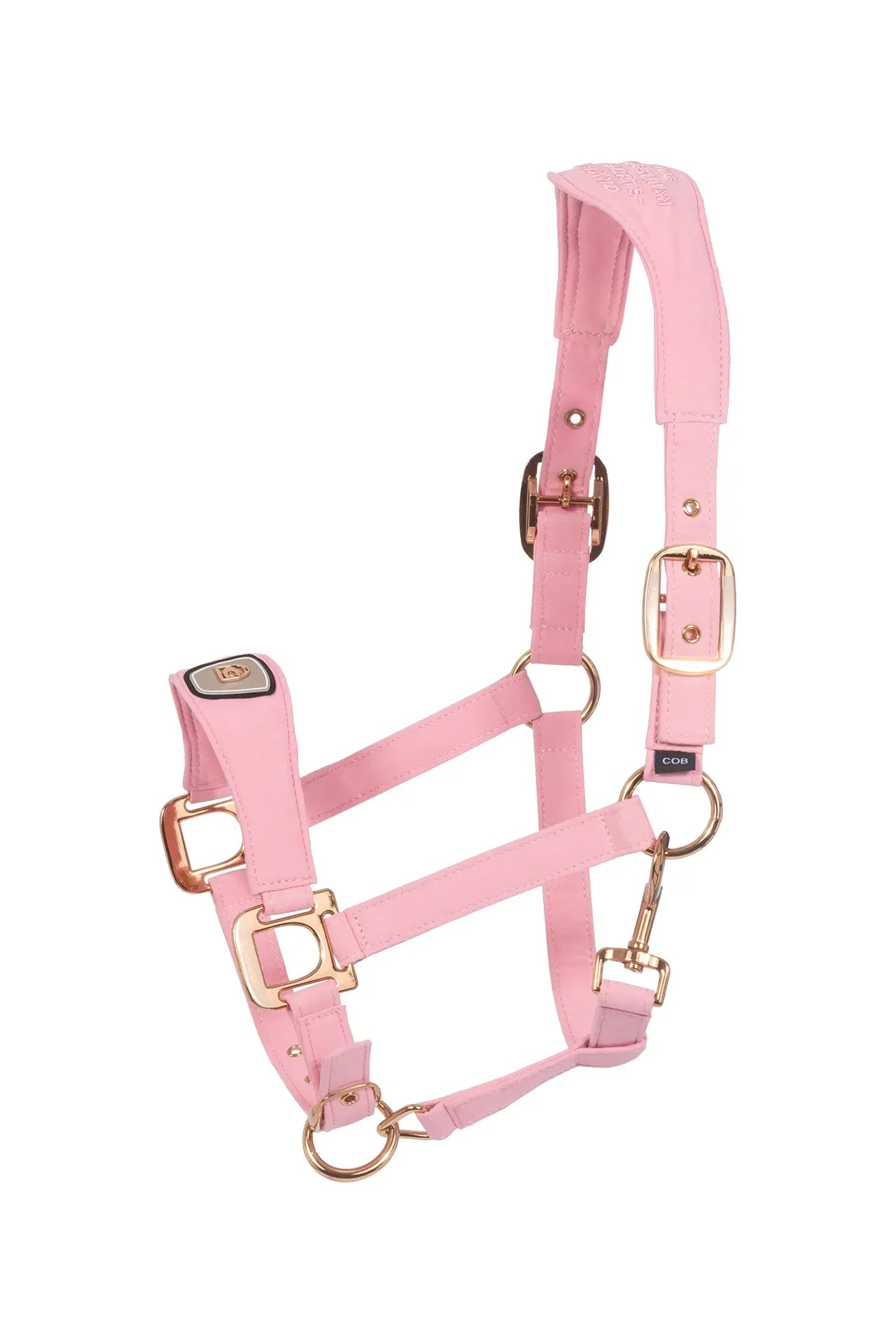 Cavallo Cavalpawel Halter