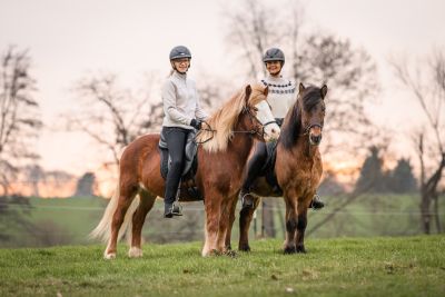 Cavallo Cavalina Saddle Pad