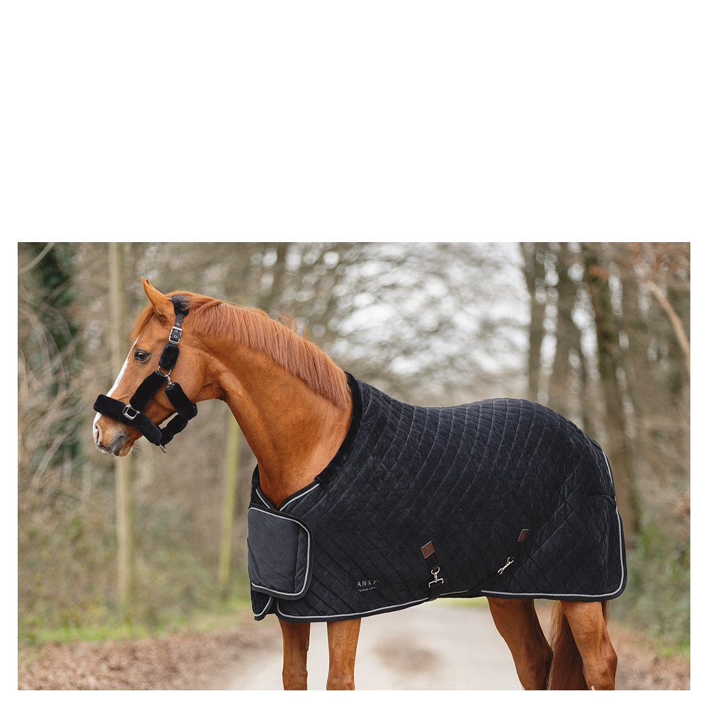 ANKY Victory Showdækken