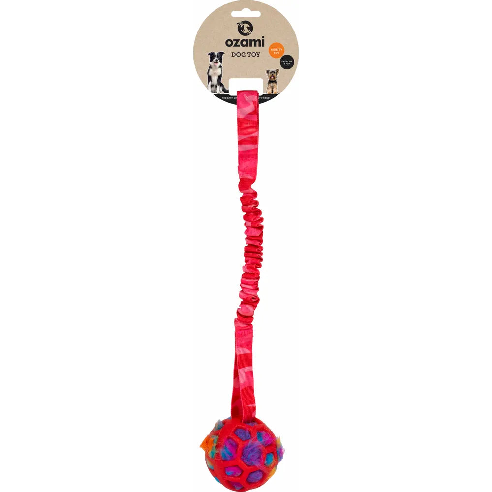 Ozami Play-N-Ting Ball