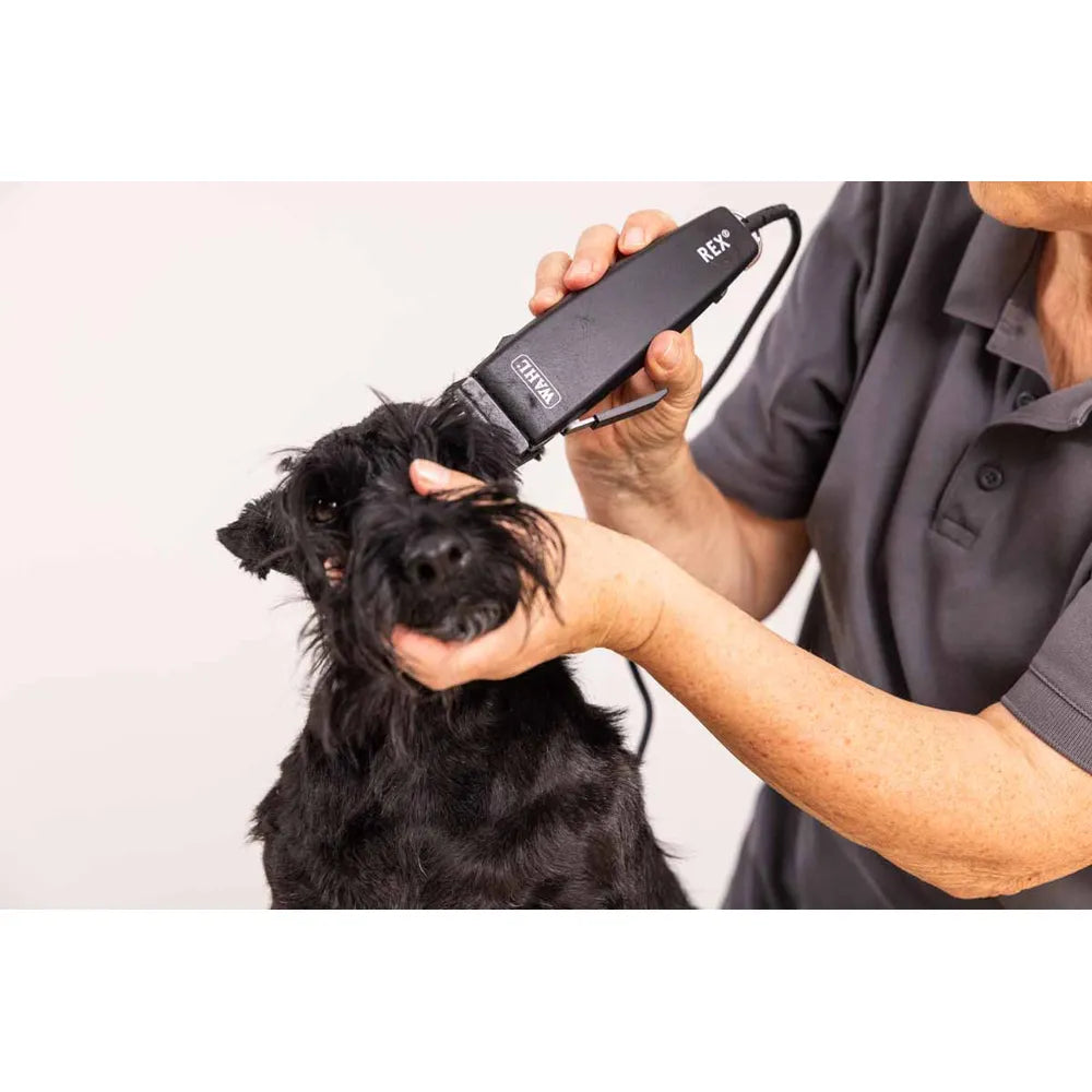 Wahl Rex Hundeklipper