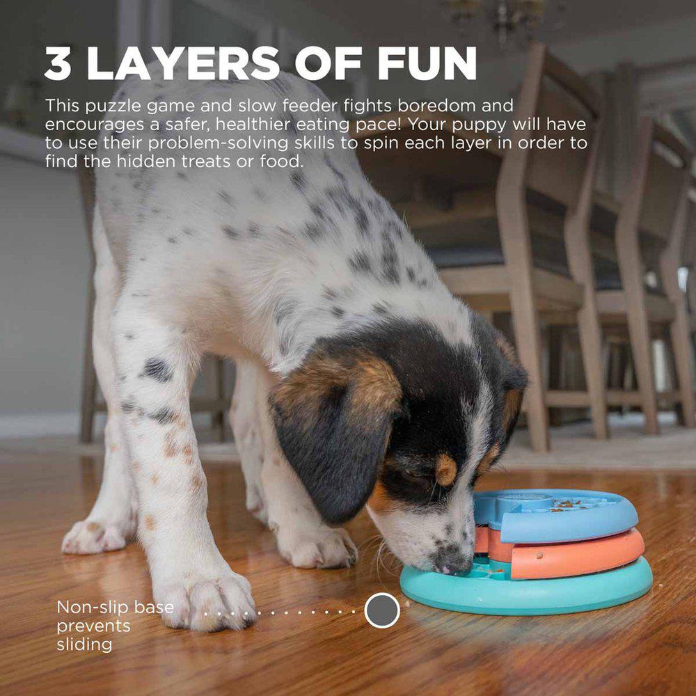 Nina Ottosson Puppy Lickin' Layers