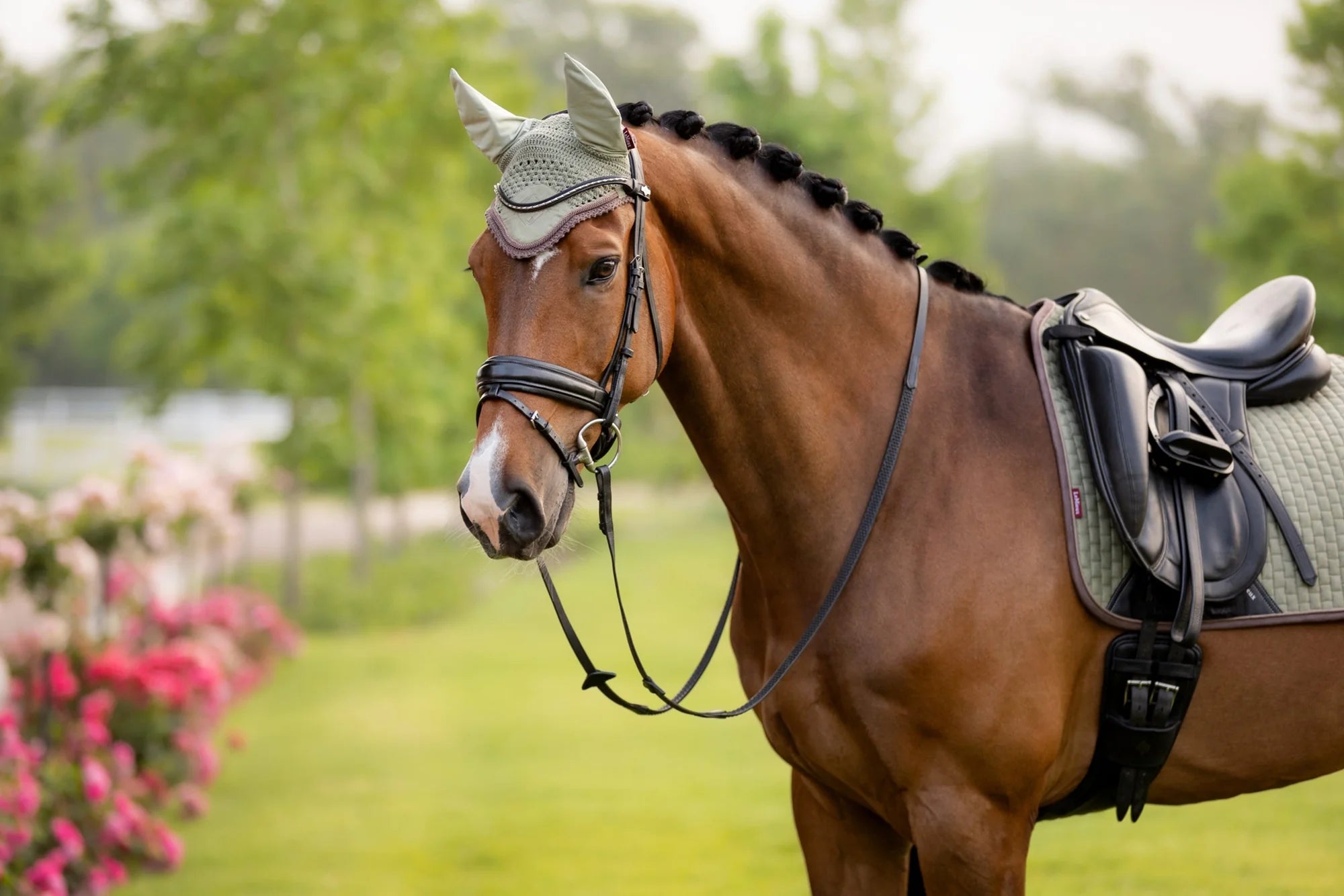 LeMieux Classic Fly Hood- OUTLET