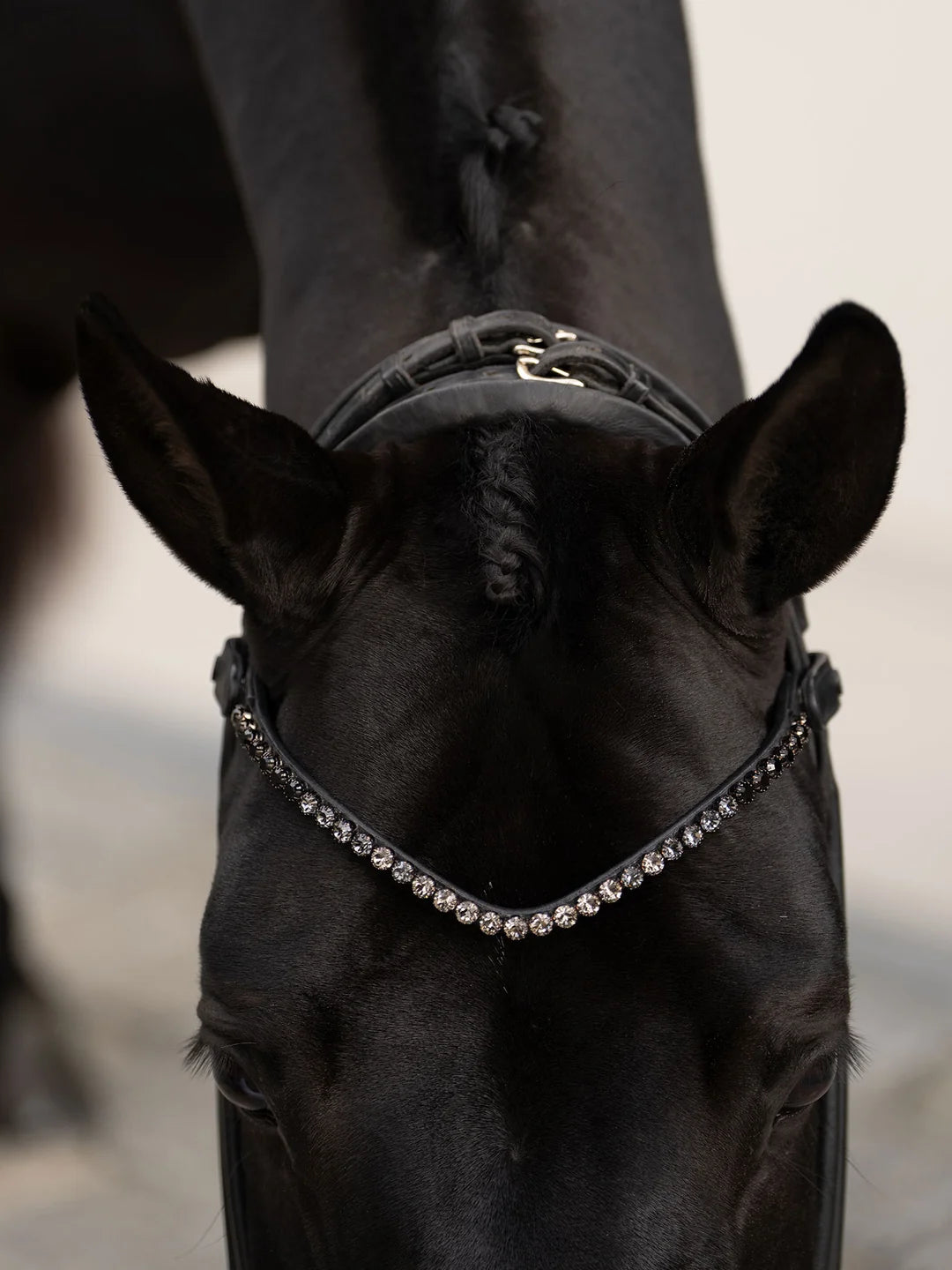 Equestrian Stockholm Browband Faded 8 mm