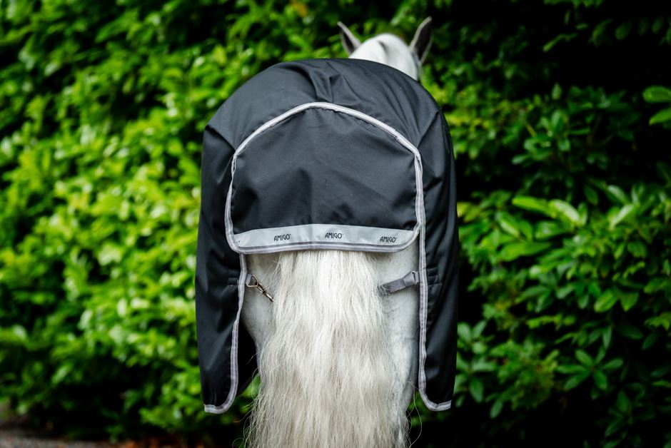 Horseware Amigo Bravo 12 Plus Bundle
