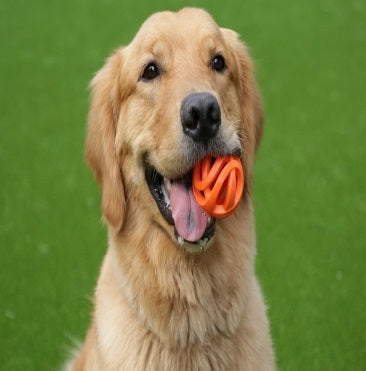 ChuckIt Breathe Right Fetch Ball