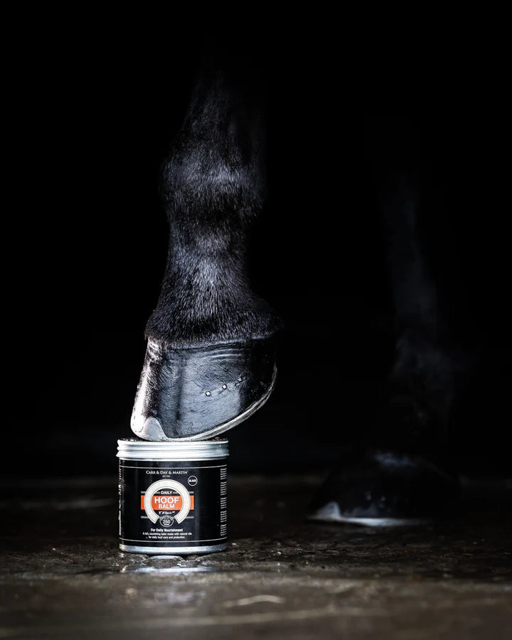 Carr & Day & Martin Daily Hoof Balm Black