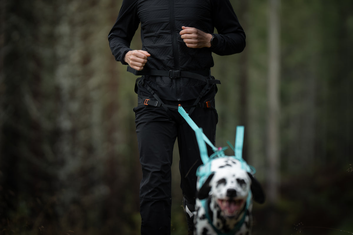 Non-Stop Dogwear Canix Belt 3.0