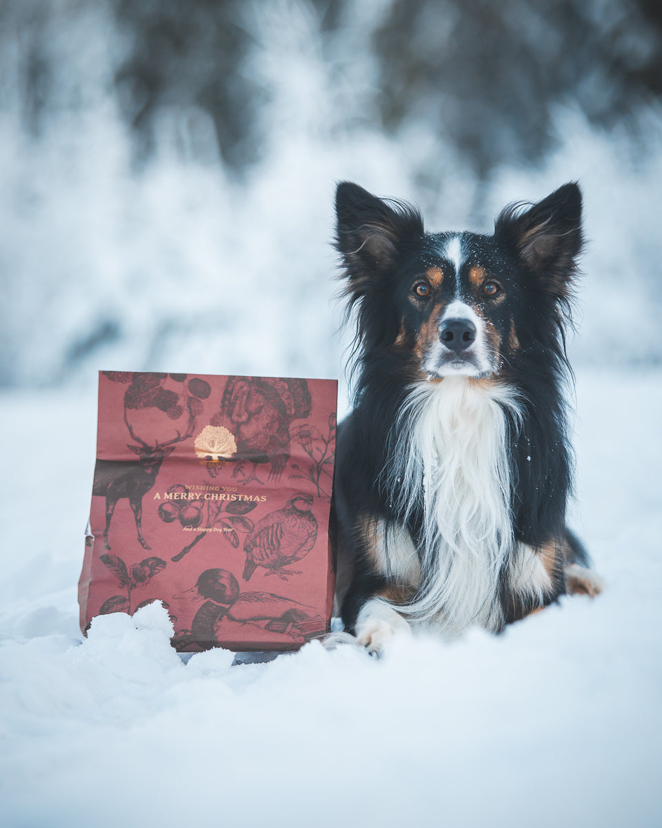 Essential Foods Christmas Present For Dog Limited Edition