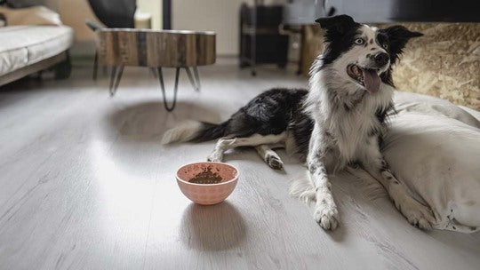 Eat Slow Live Longer Lick Mat Wobble Bowl