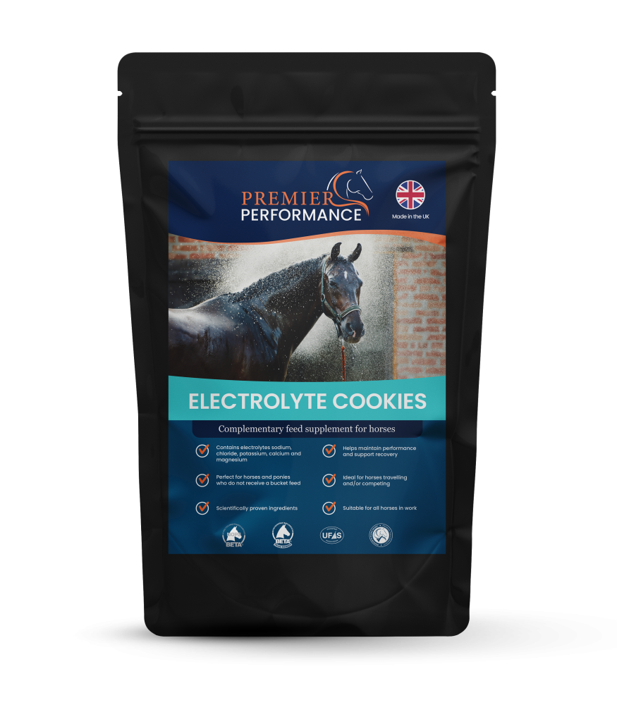 Premier Performance Electrolyte Cookies