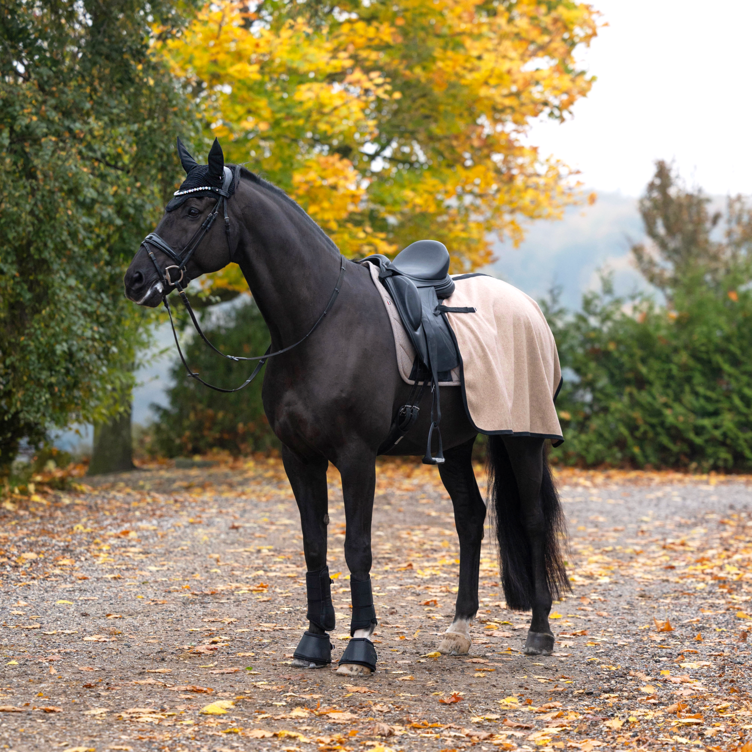 Kingsland KLAudrey Woolmix Exercise Rug