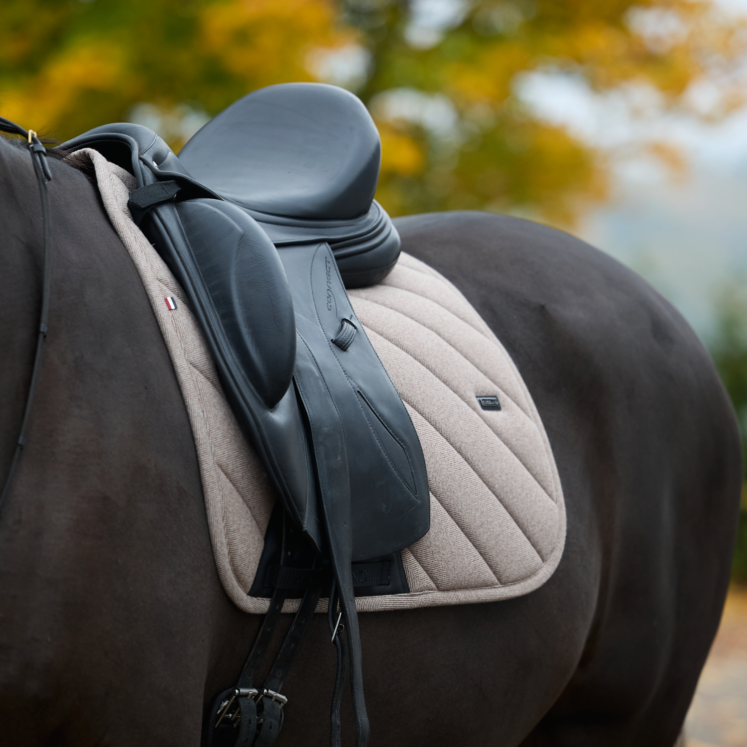 Kingsland KLAudrey Dressage Saddle Pad