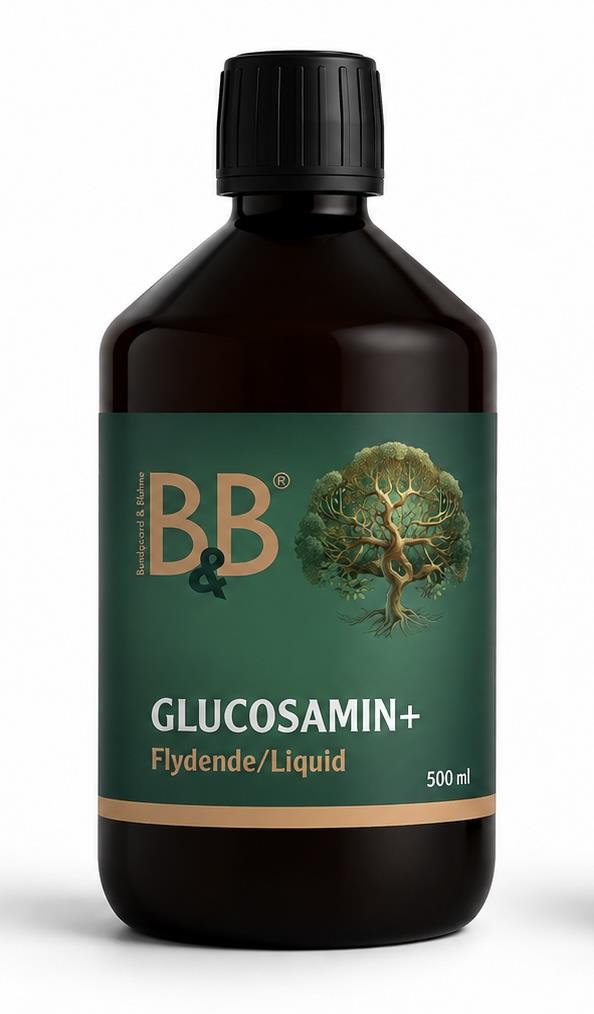 B&B Glycosamin+ Flydende
